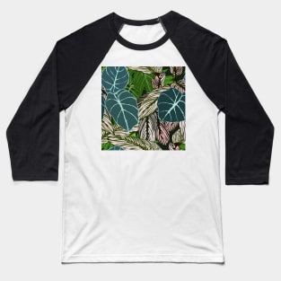 House plants Baseball T-Shirt